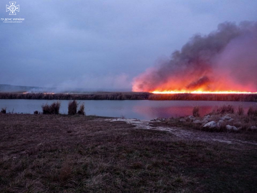 В селе Николаевской области второй день пылает масштабный пожар