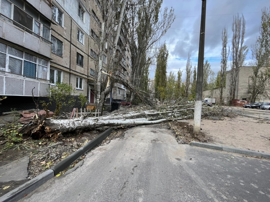 В Николаеве ветер массово валил деревья (фото)