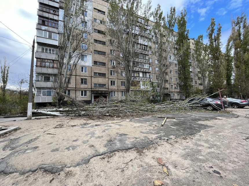 В Николаеве ветер массово валил деревья (фото)