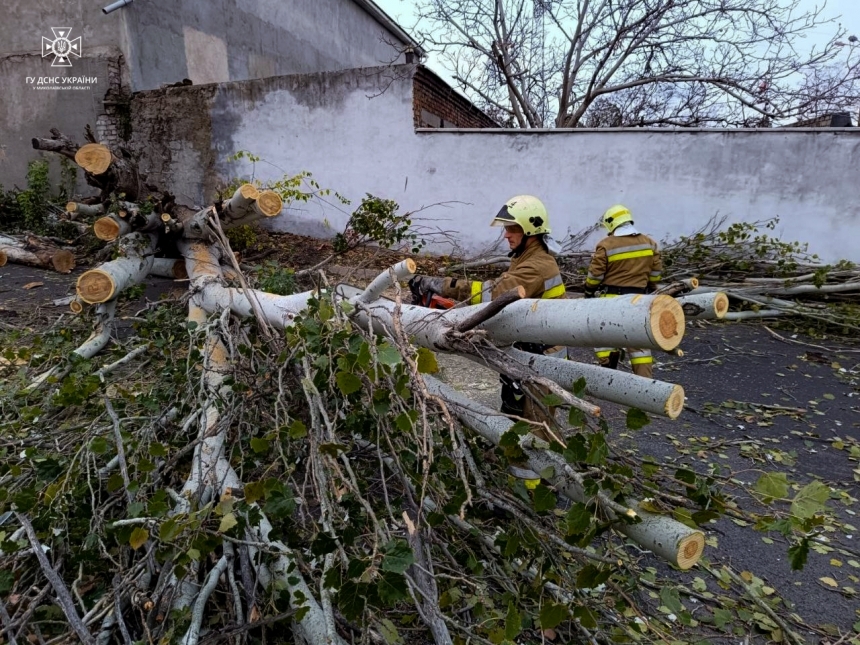 Повалені дерева та обірвані мережі: у Миколаєві ліквідують наслідки негоди