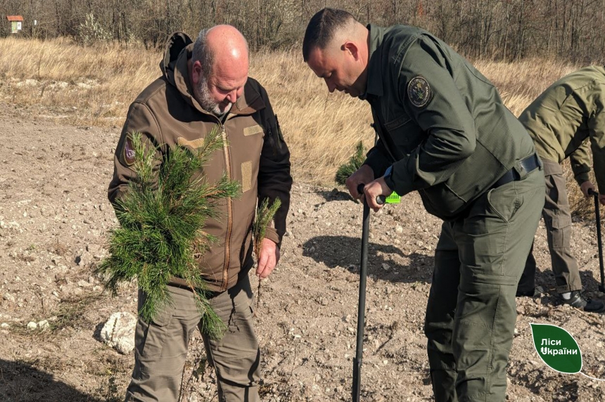 На Миколаївщині триває масштабне висадження дерев — рахунок іде на мільйони