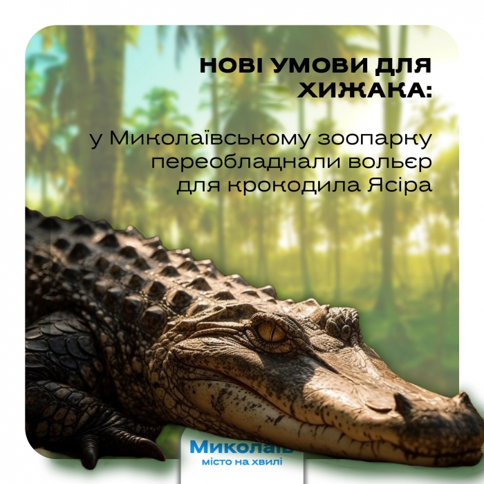 У Миколаївському зоопарку переобладнали вольєр для крокодила Ясіра