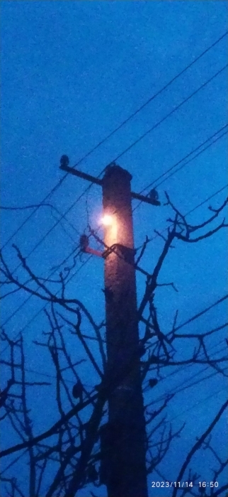 В селе под Николаевом аварийная ситуация с электросетями — массово горит техника
