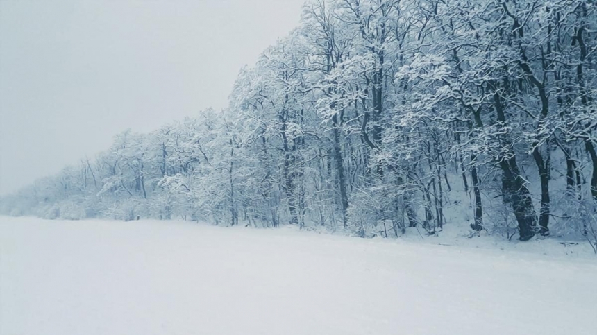 Украину накрывает циклон: будет снег и ветер до 27 м/с