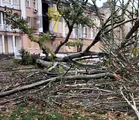 В центре Николаева деревья упали на провода: в домах пропал свет (видео)