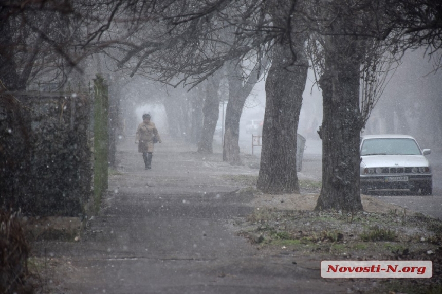 В Николаеве пошел первый осенний снег
