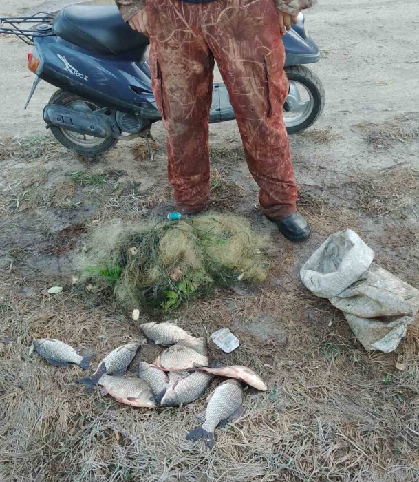 В селе под Николаевом рыбак попался на браконьерстве: ловил рыбу сетями