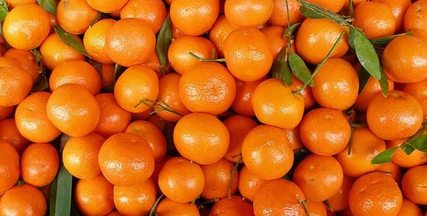 В Україну завезли отруйні мандарини з Єгипту