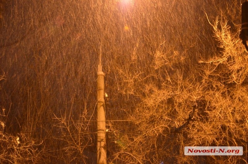 Непогода в Николаевской области: обесточено 30 населенных пунктов, грядет метель
