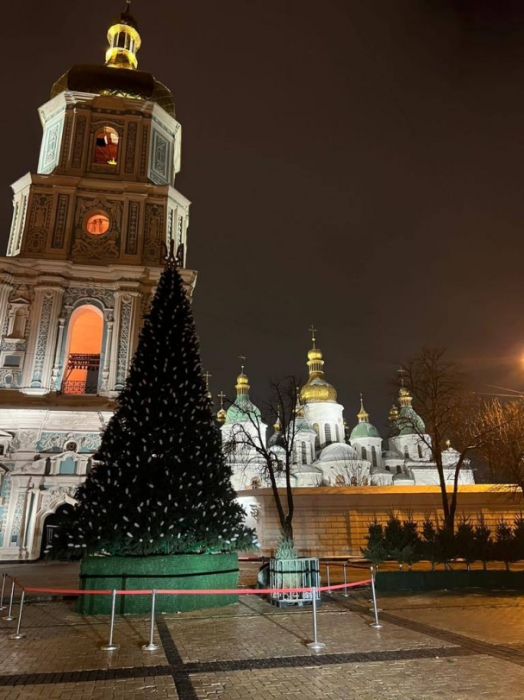 В Киеве смонтировали главную елку страны (фото)