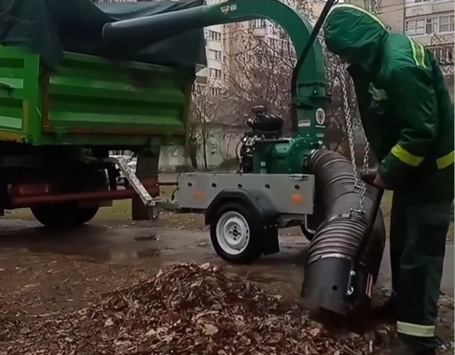 У Миколаєві в середині грудня пилососять листя (відео)