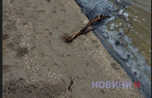 Нефтепродукты в 6 раз превышают норму: экологи о ситуации с рекой на Намыве в Николаеве