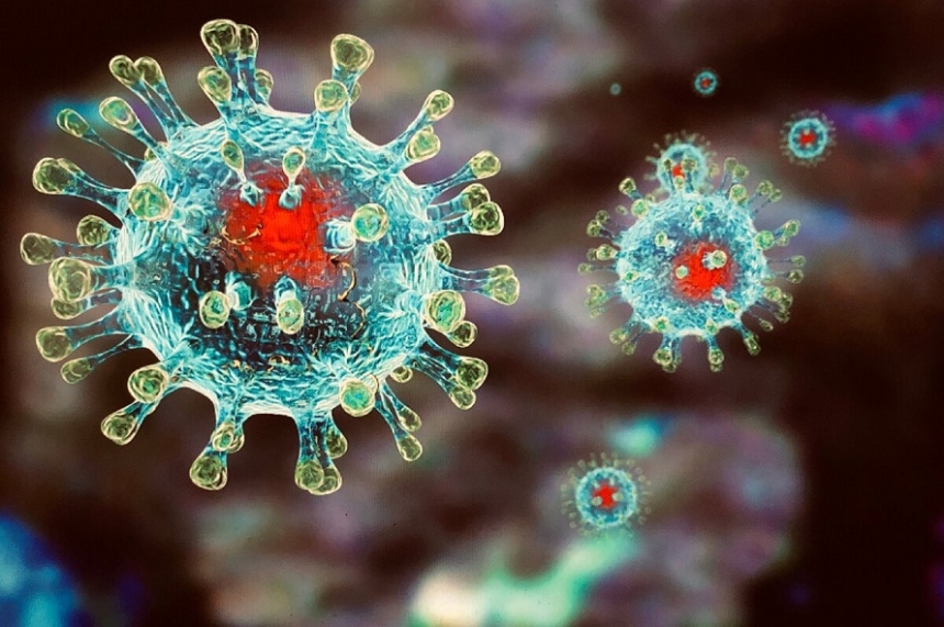 В Украине за декабрь зафиксировали три случая нового вида коронавируса Pirola