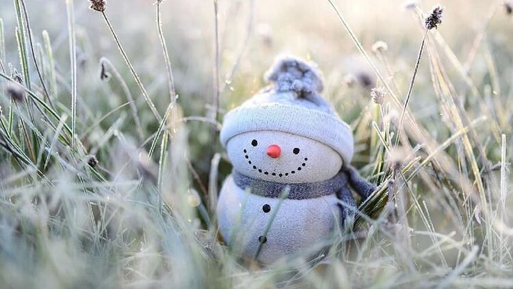 В первый день нового года в Николаеве и области обещают теплую погоду и туманы