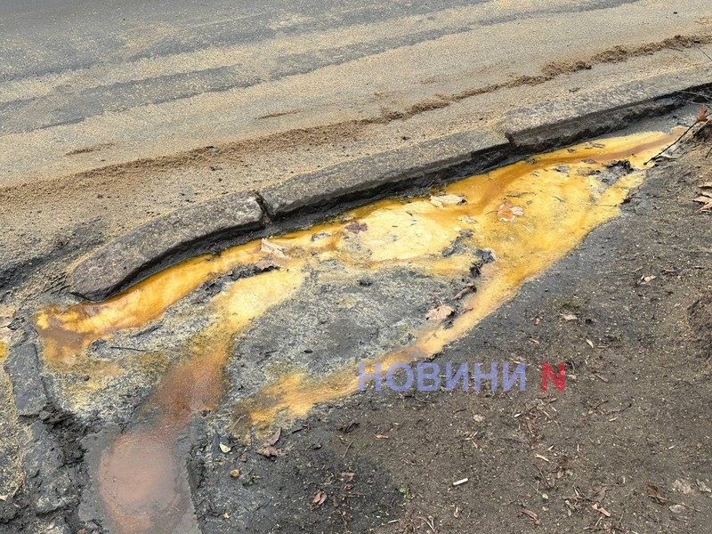Последствия аварии фуры с подсолнечным маслом в Николаеве: экологи взяли пробы воды и грунта