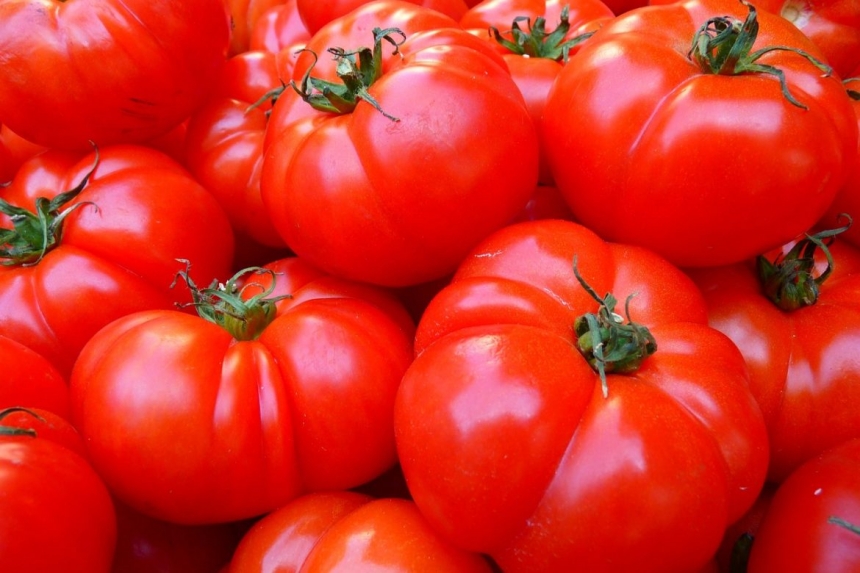В Україні дешевшають імпортні помідори