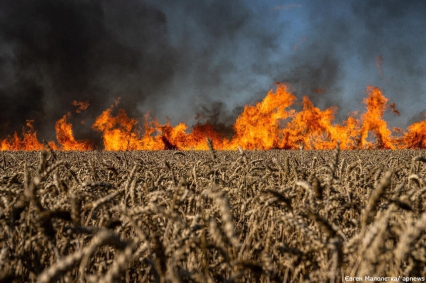 Названа сумма ущерба, нанесенного украинской окружающей среде войной