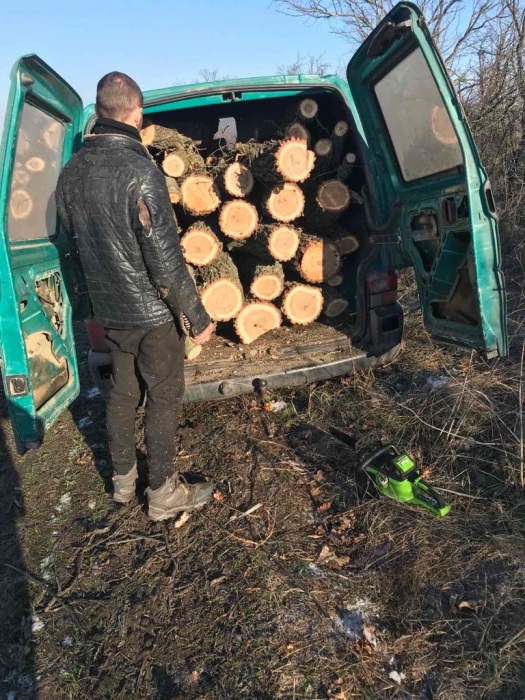 На Миколаївщині «лісоруб-нелегал» заплатить 18 тисяч гривень штрафу