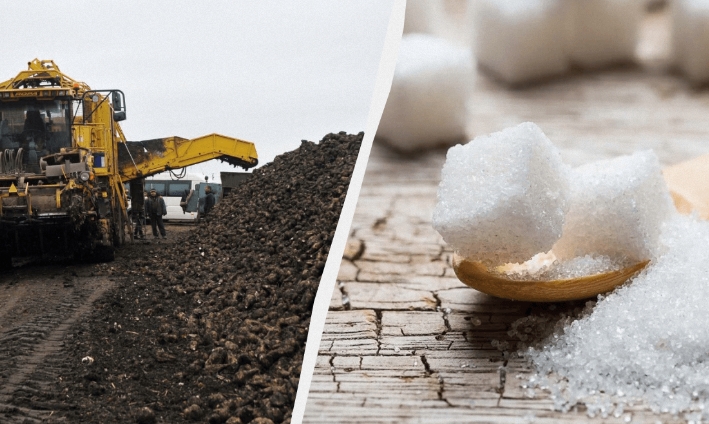 Підраховано, чи вистачить Україні власного цукру