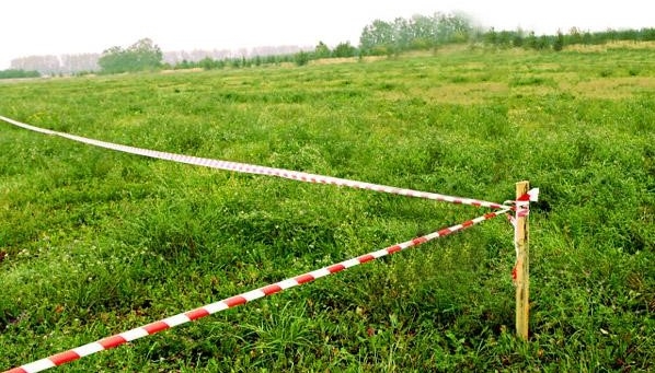 Здала в оренду та отримувала гроші: в іноземки на Миколаївщині хочуть забрати земельну ділянку