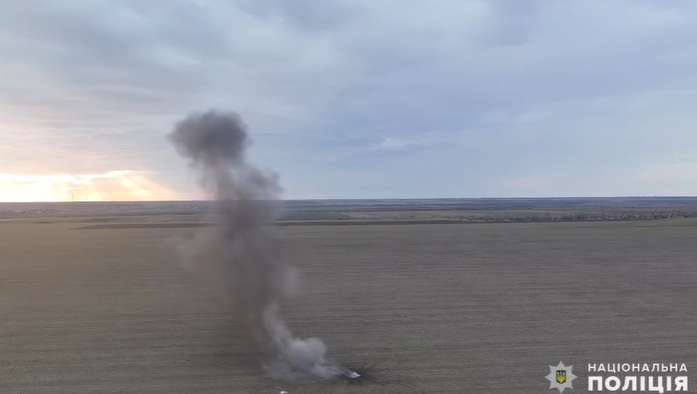 В Николаевской области уничтожили боевую часть сбитого беспилотника (видео)