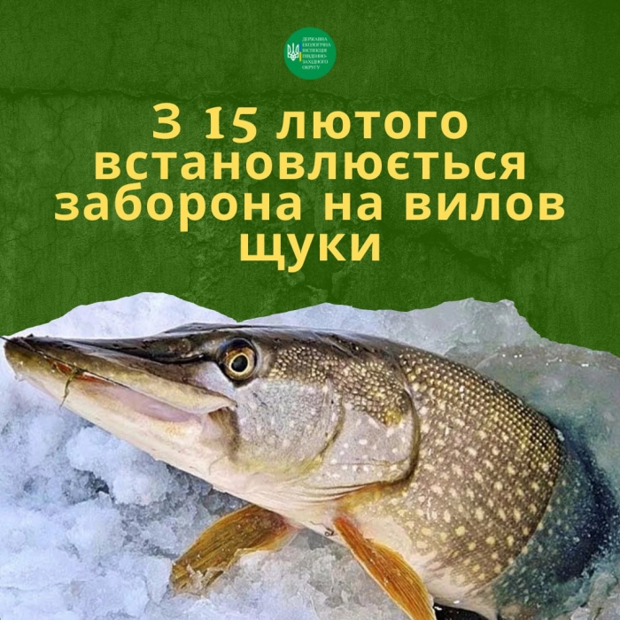 Миколаївським рибалкам заборонили ловити щуку: у зв'язку з чим та на який період
