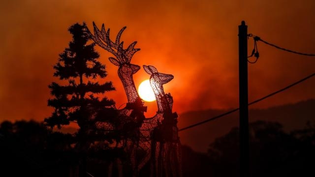 Год был самым жарким за 10000 лет: Николаевскую область надо спасать от последствий смены климата