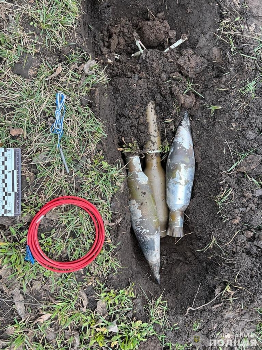Николаевские взрывотехники уничтожили вражеские гранаты и боеприпас, брошенные в лесополосе (видео)