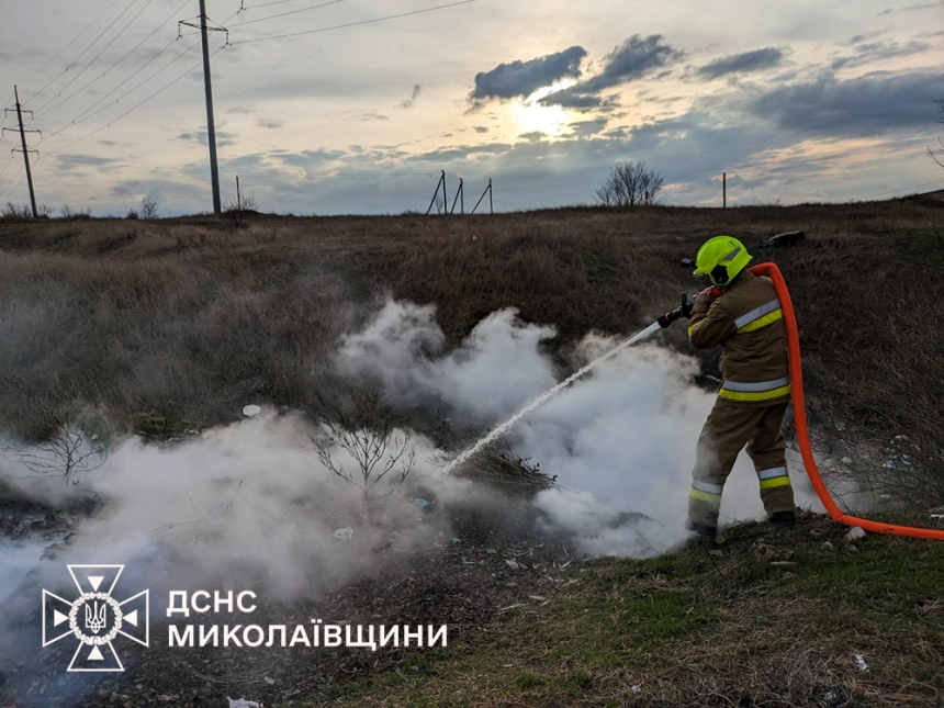 В Николаевской области возросло количество пожаров в экосистемах