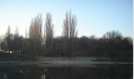 В Николаевской области предприниматель захватил участок земли с водохранилищем