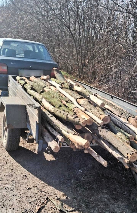 В Николаевской области поймали мужчину, перевозившего древесину без документов