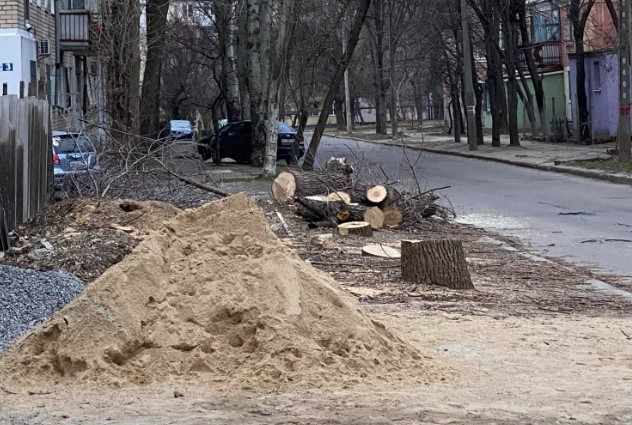 У Миколаєві незаконно спилили дерева – заважали будівництву СТО та мийки (відео)