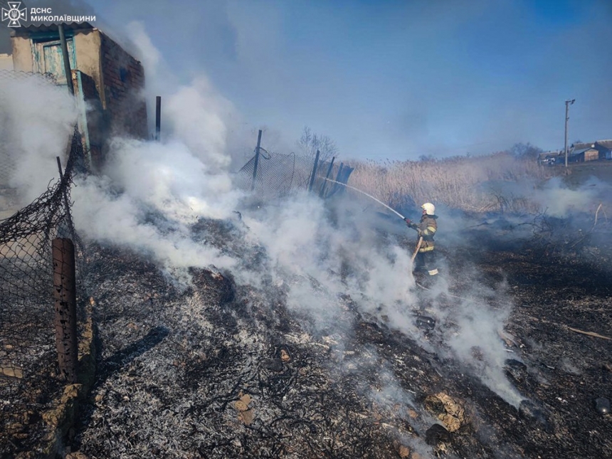В Николаевской области из-за пожара в камышах едва не сгорел жилой дом