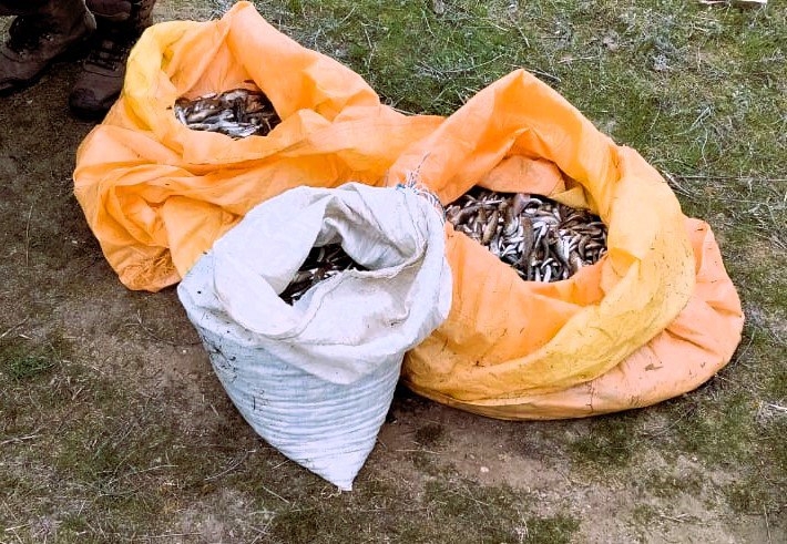 Під Миколаєвом упіймали «зухвалого» браконьєра: улов оцінюється майже в мільйон