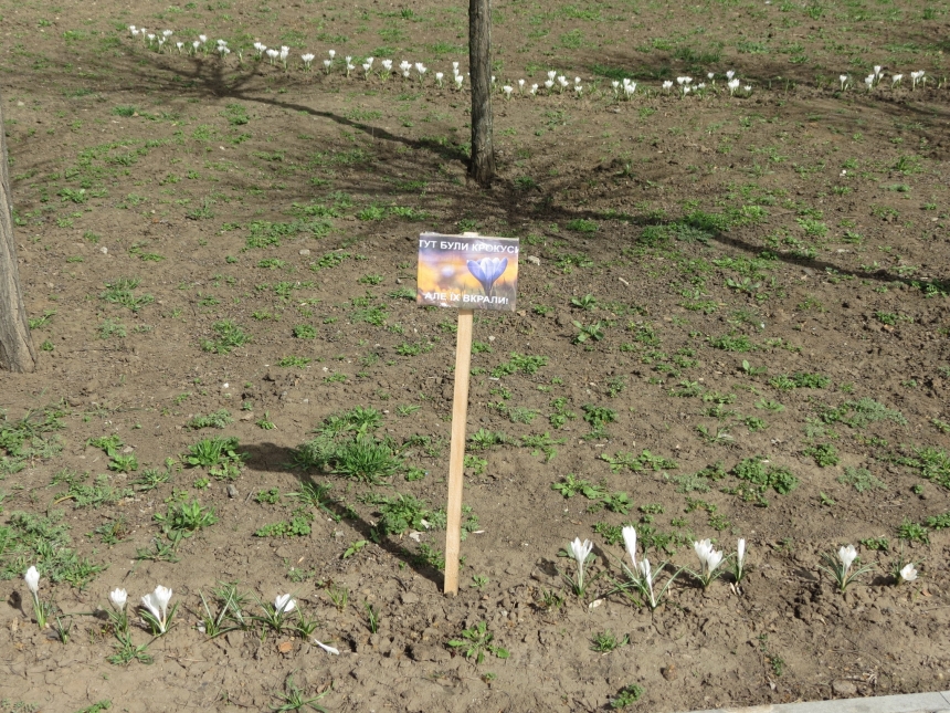 В Николаеве вместо украденных цветов на клумбах выставляют таблички с их изображением (фото)