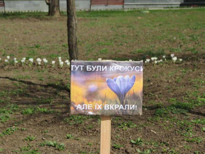 В Николаеве вместо украденных цветов на клумбах выставляют таблички с их изображением (фото)