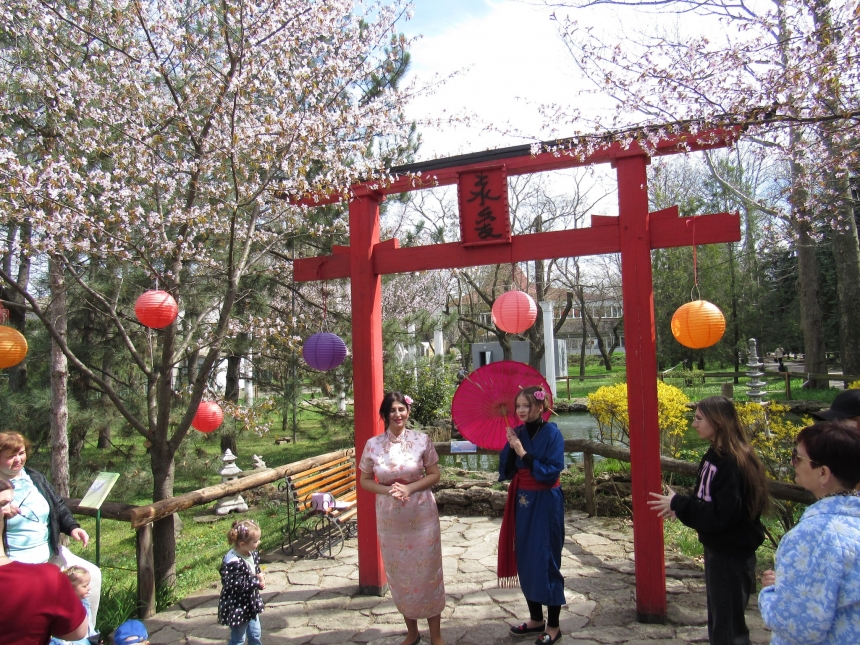 Николаевский зоопарк приглашает на праздник цветения сакур — Ханами