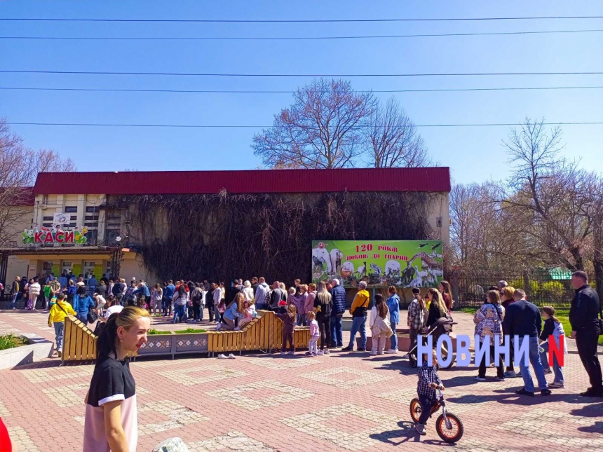 Любование сакурой: в Николаевском зоопарке аншлаг, у кассы огромная очередь