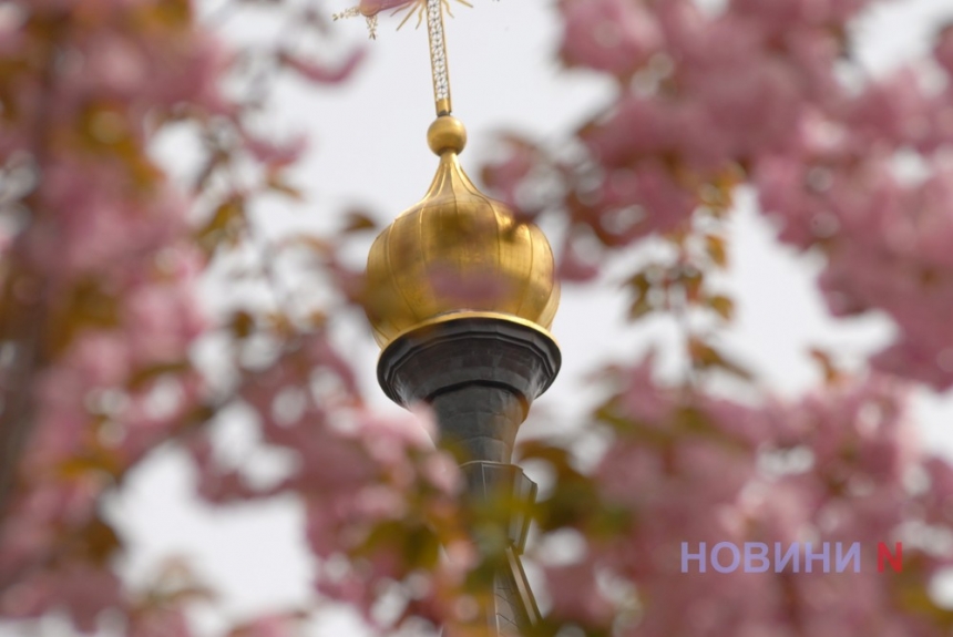 В Николаеве на месяц раньше зацвела сакура (фоторепортаж)