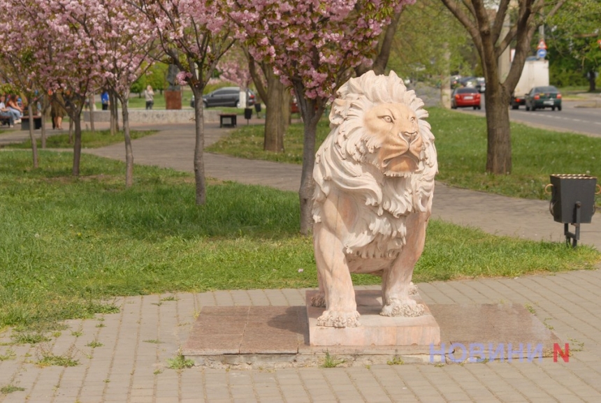 В Николаеве на месяц раньше зацвела сакура (фоторепортаж)