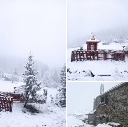 В Карпатах в разгар весны выпал снег (фото)