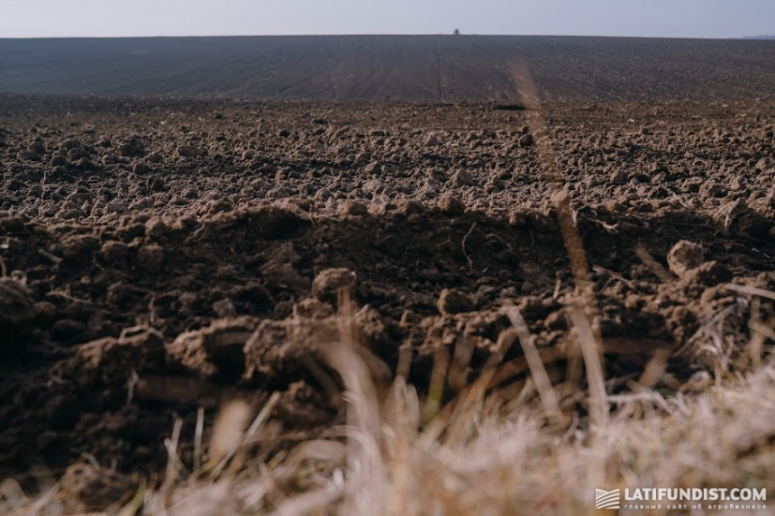 В Николаевской области лицею вернули земли за 1 миллион