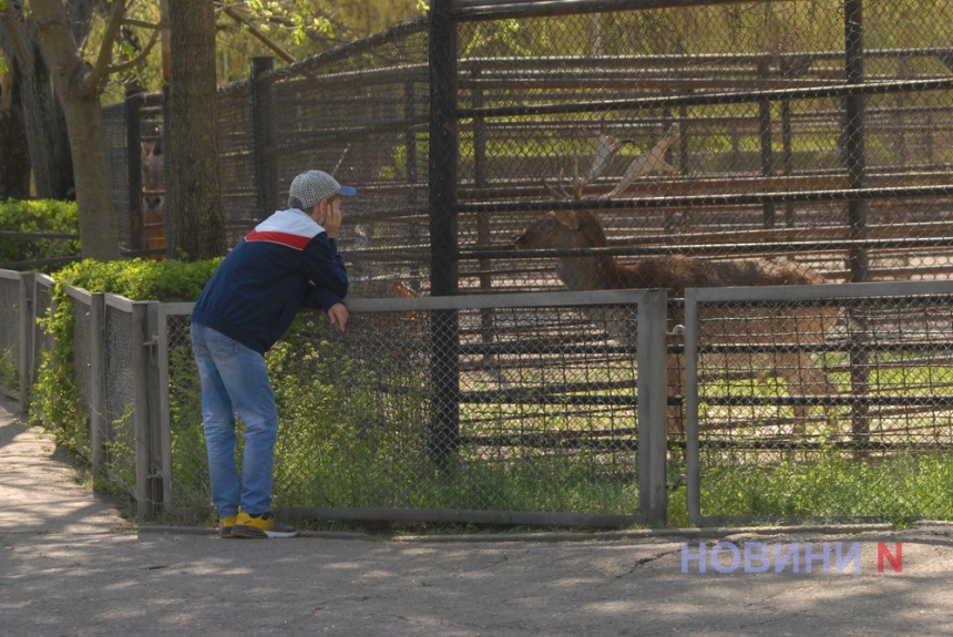 Игривые слоны и «влюбленные» попугаи: как в Николаевский зоопарк пришла весна (фоторепортаж)