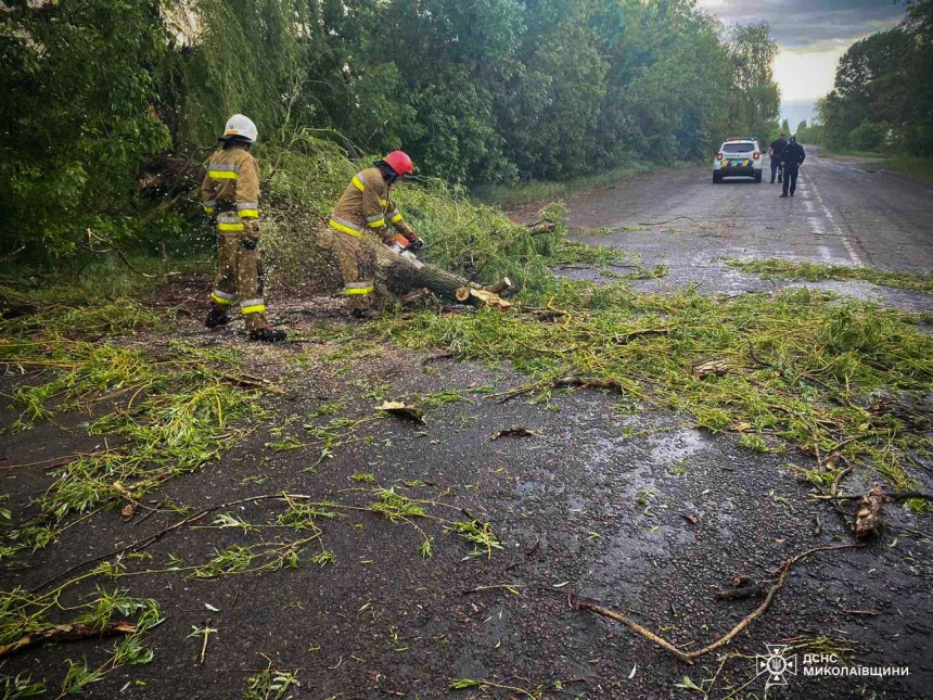 Непогода в Николаевской области: трассу завалило деревьями