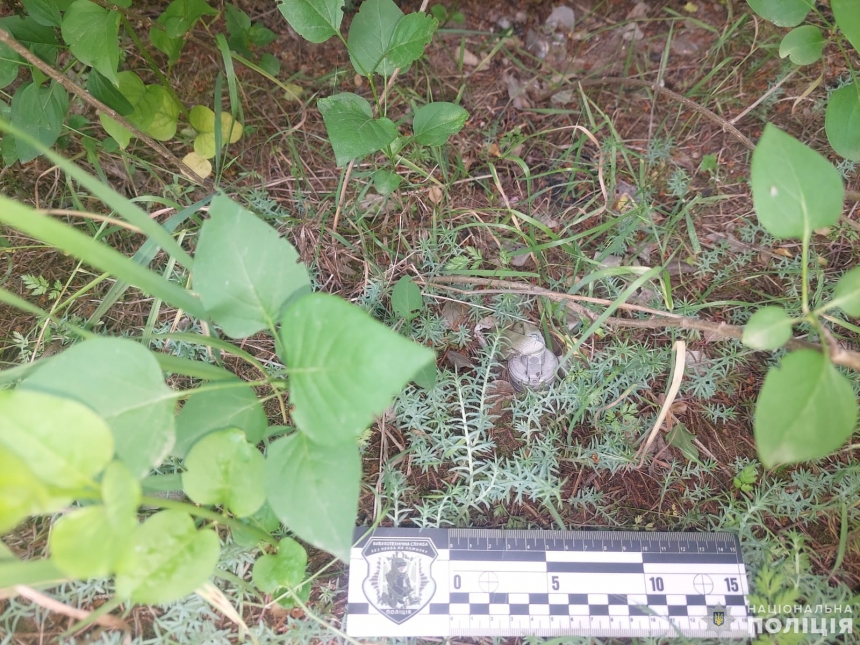 В Николаеве женщина на кладбище нашла кассетный боеприпас (фото)