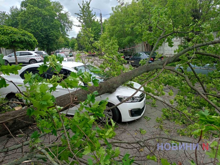 В центре Николаева ветка большого дерева упала на автомобиль и полностью перегородила дорогу