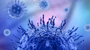 В мире стремительно распространяется новый вариант коронавируса FLiRT