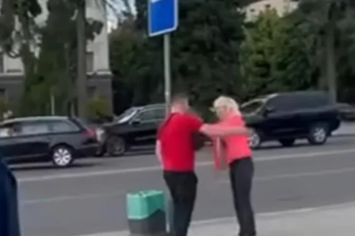 В Луцке водитель кулаками "воспитывал" женщину, которая перебегала дорогу (видео)