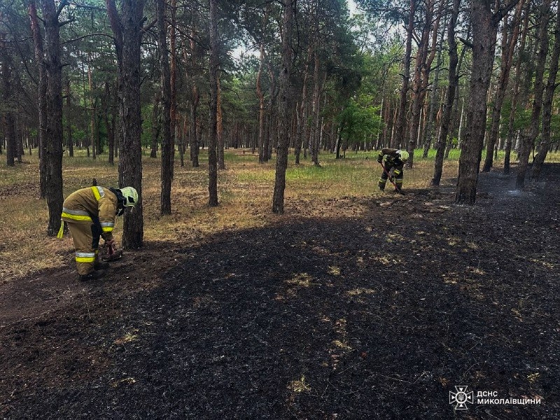 Балабановский лес, жилой дом и кукуруза в прицепе: в Николаевской области за сутки было 15 пожаров  