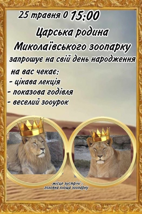 В Николаевском зоопарке семья львов празднует День рождения: горожан приглашают присоединиться